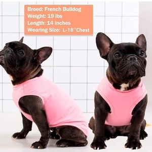 Stylish Pink Dog Vest